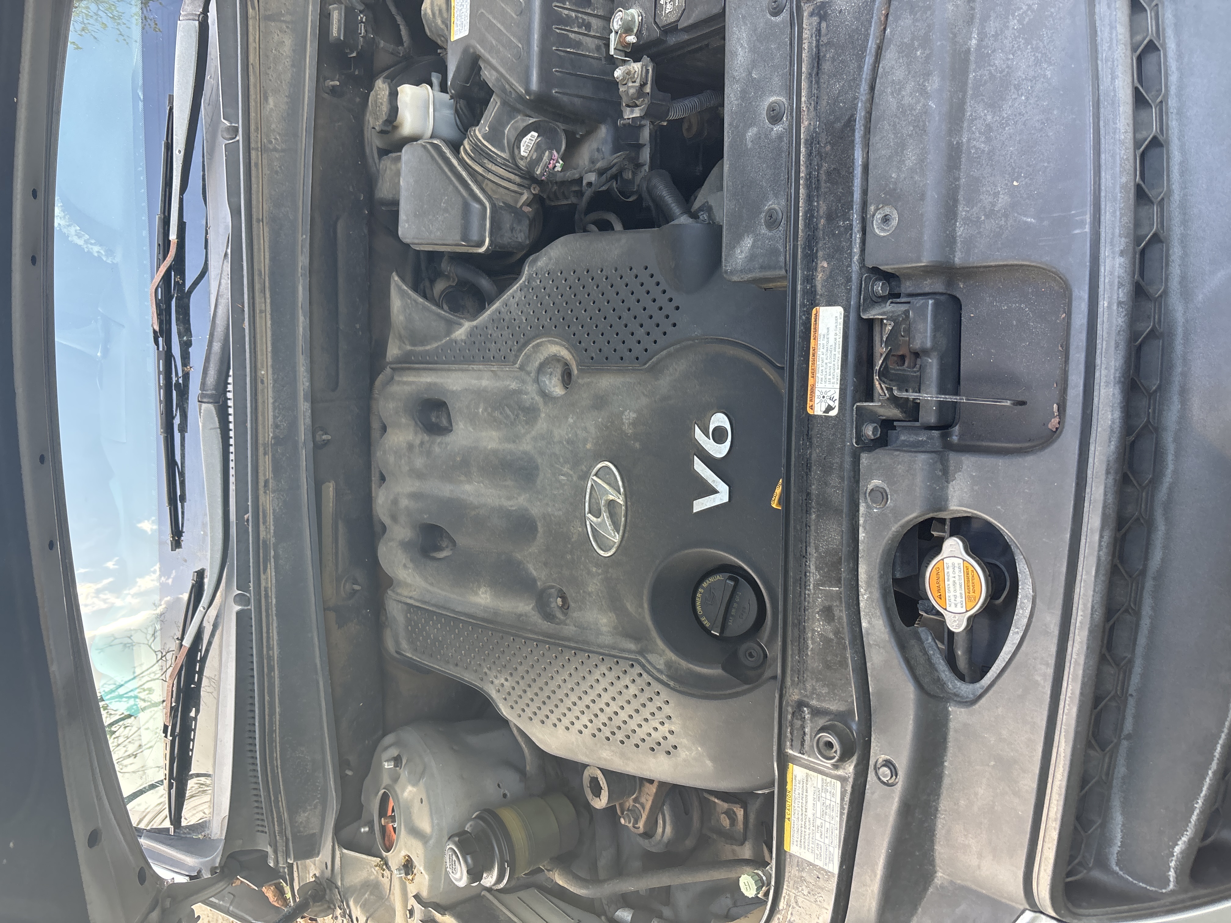 2009 Hyundai Santa Fe